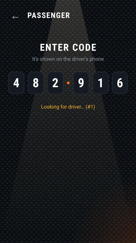 Passenger entered the full code and is looking for the driver