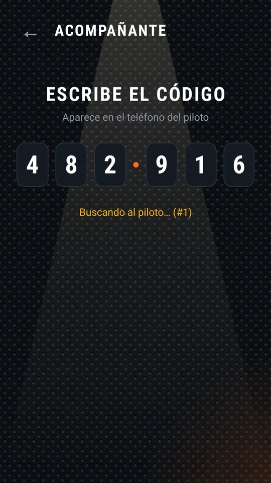 El acompañante ha escrito el código completo y busca al piloto