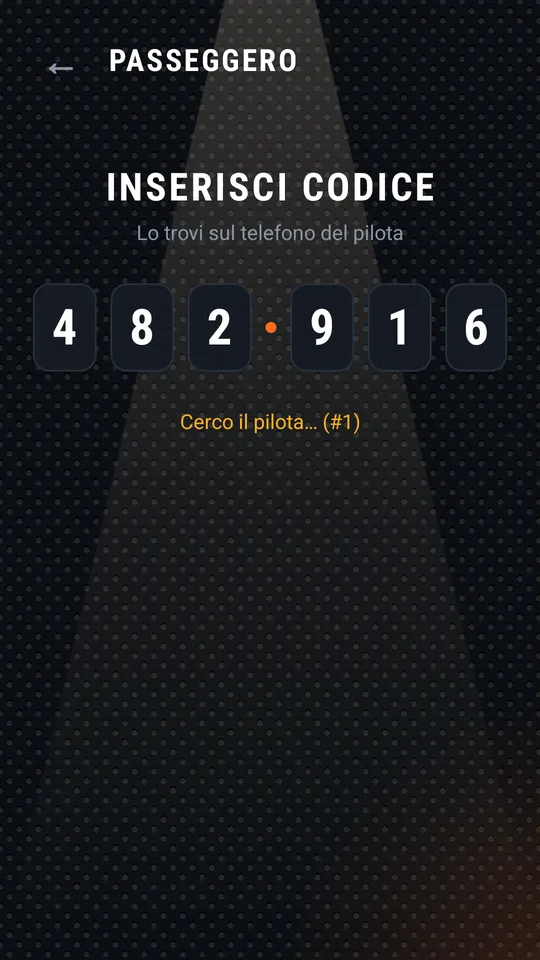 Il passeggero ha inserito tutto il codice e cerca il pilota